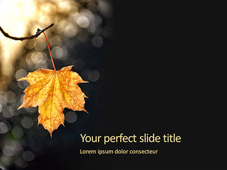 Yellow Maple Leaf on a Branch Presentation, Free PowerPoint Template, 15797, Nature & Environment — PoweredTemplate.com