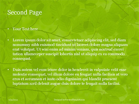 Green Tree Leaves in Sunlight Presentation, Slide 2, 15812, Nature & Environment — PoweredTemplate.com