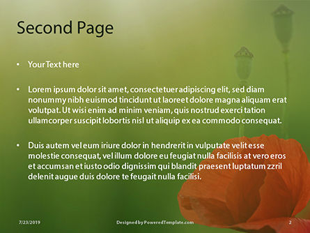 파워포인트 템플릿 - 놀라운 빨간 양귀비, 슬라이드 2, 15825, 자연 및 환경 — PoweredTemplate.com