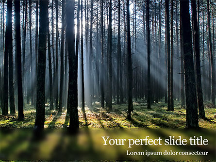 Spruce-Fir Forest Presentation, Free PowerPoint Template, 15830, Nature & Environment — PoweredTemplate.com
