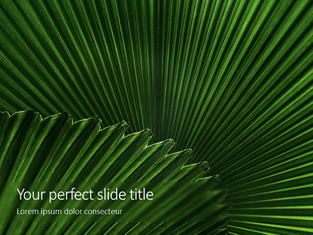 Modèle PowerPoint gratuit de feuilles du palmier, Gratuit Modele PowerPoint, 15837, Nature / Environnement — PoweredTemplate.com