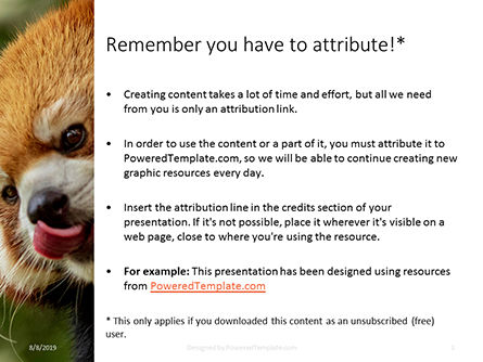 Roter panda der auf baum klettert Kostenlose PowerPoint Vorlage, Folie 3, 15840, Allgemein — PoweredTemplate.com