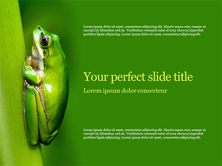Northern Dwarf Tree Frog Presentation, Free PowerPoint Template, 15854, General — PoweredTemplate.com