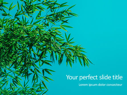 Plantilla de PowerPoint - hojas de bambú sobre fondo azul, 15857, Naturaleza y medio ambiente — PoweredTemplate.com