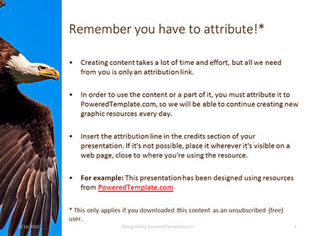 Plantilla de PowerPoint gratis - hora del almuerzo águila calva, Diapositiva 3, 15862, Naturaleza y medio ambiente — PoweredTemplate.com