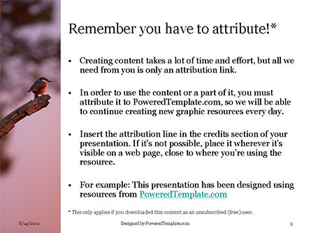 Templat PowerPoint Seekor Burung Hitam Bertengger Di Dahan Pohon, Slide 3, 15868, Alam & Lingkungan — PoweredTemplate.com