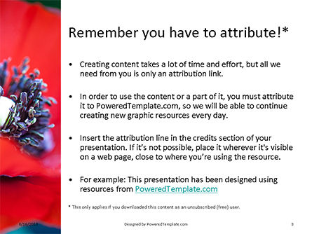Modèle PowerPoint de closeup coquelicot rouge, Diapositive 3, 15878, Nature / Environnement — PoweredTemplate.com