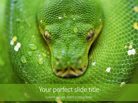 Emerald Python Coiled on Tree Presentation, PowerPoint Template, 15879, Nature & Environment — PoweredTemplate.com