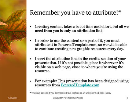 秋天的枫叶免费PowerPoint模板, 幻灯片 3, 15881, 自然与环境 — PoweredTemplate.com