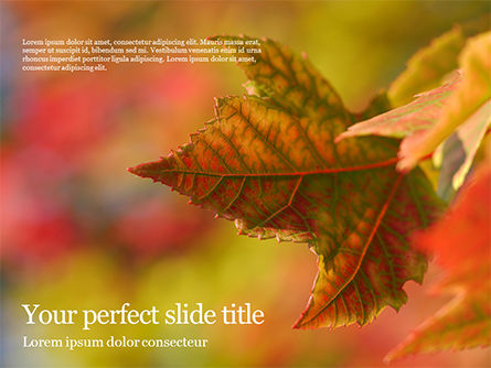 秋天的枫叶免费PowerPoint模板, 免费 PowerPoint模板, 15881, 自然与环境 — PoweredTemplate.com