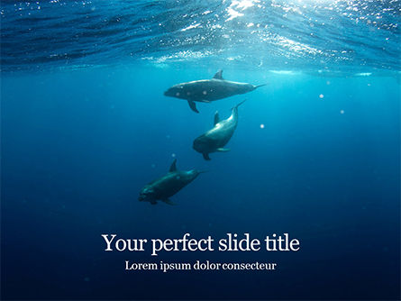 Een Groep Dolfijnen Onder Water PowerPoint Template, PowerPoint-sjabloon, 15883, Natuur & Milieu — PoweredTemplate.com
