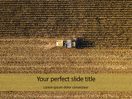 Harvesting Corn in Autumn Presentation, Free PowerPoint Template, 15884, Careers/Industry — PoweredTemplate.com