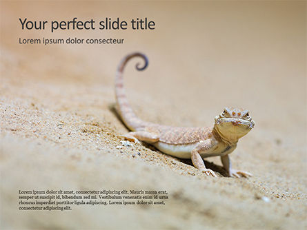 在沙子的蜥蜴免费PowerPoint模板, 免费 PowerPoint模板, 15886, 全球 — PoweredTemplate.com