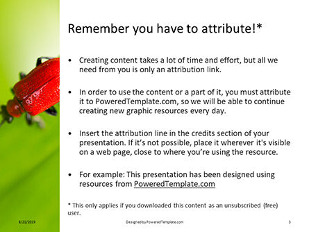 Modelo de PowerPoint Grátis - lily besouro sentado em uma folha verde, Deslizar 3, 15902, Natureza e Ambiente — PoweredTemplate.com