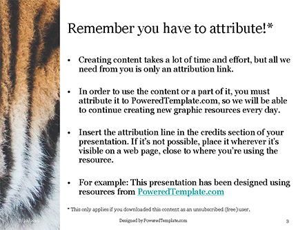 Plantilla de PowerPoint gratis - vista cercana de piel de tigre, Diapositiva 3, 15906, Abstracto / Texturas — PoweredTemplate.com