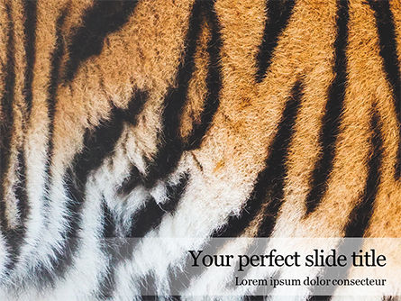 Close View of Tiger Skin Presentation, Free PowerPoint Template, 15906, Abstract/Textures — PoweredTemplate.com