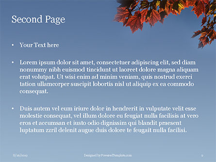 Maple Tree Branch in Autumn against Blue Sky Presentation, Slide 2, 15911, Nature & Environment — PoweredTemplate.com