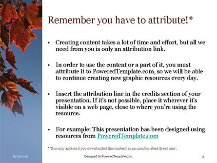 Modello PowerPoint - Ramo di albero di acero in autunno contro il cielo blu, Slide 3, 15911, Natura & Ambiente — PoweredTemplate.com