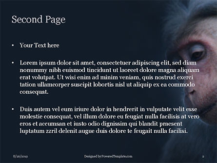 Zwei graue primaten Kostenlose PowerPoint Vorlage, Folie 2, 15913, Allgemein — PoweredTemplate.com