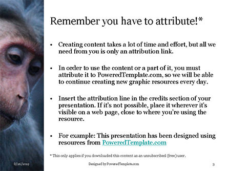 Modèle PowerPoint gratuit de deux primates gris, Diapositive 3, 15913, Général — PoweredTemplate.com
