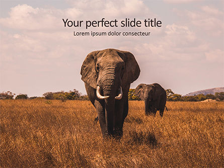 非洲大象免费PowerPoint模板, 免费 PowerPoint模板, 15919, 自然与环境 — PoweredTemplate.com