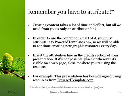 Templat PowerPoint Cabang Pohon Larch Dengan Kerucut, Slide 3, 15921, Alam & Lingkungan — PoweredTemplate.com