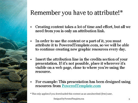 Modello PowerPoint - Raggi di sole sott'acqua con rocce sul fondo del mare, Slide 3, 15932, Natura & Ambiente — PoweredTemplate.com