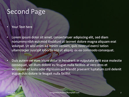 Templat PowerPoint Closeup Bunga Violet Malva, Slide 2, 15943, Alam & Lingkungan — PoweredTemplate.com