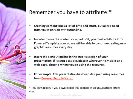 バイオレットマルバ花のクローズアップ - PowerPointテンプレート, スライド 3, 15943, 自然＆環境 — PoweredTemplate.com
