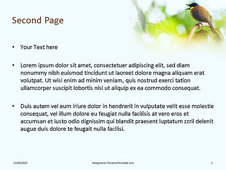 파워포인트 템플릿 - 나무 잎 사이에서 푸른 즉석 웃음 소리, 슬라이드 2, 15954, 자연 및 환경 — PoweredTemplate.com