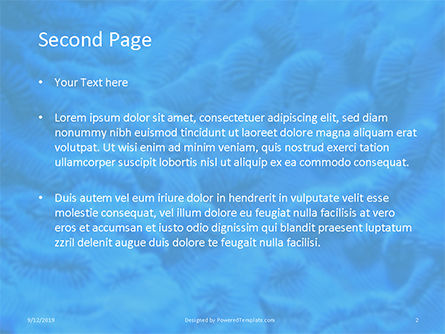 サンゴ礁マクロテクスチャ - 無料PowerPointテンプレート, スライド 2, 15959, 自然＆環境 — PoweredTemplate.com