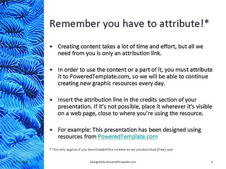 サンゴ礁マクロテクスチャ - 無料PowerPointテンプレート, スライド 3, 15959, 自然＆環境 — PoweredTemplate.com