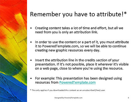 Modèle PowerPoint de fond coloré de plumes d'oiseau perroquet, Diapositive 3, 15970, Abstrait / Textures — PoweredTemplate.com
