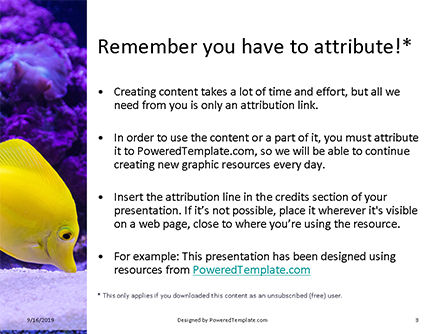 Modello PowerPoint Gratis - Pesce giallo tang in acquario, Slide 3, 15972, Natura & Ambiente — PoweredTemplate.com