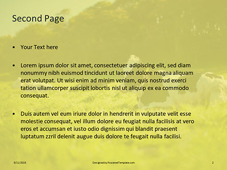 緑の野原で見事な牛 - PowerPointテンプレート, スライド 2, 15981, 農業 — PoweredTemplate.com