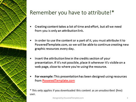新鮮な緑の葉のテクスチャー - PowerPointテンプレート, スライド 3, 15999, 自然＆環境 — PoweredTemplate.com