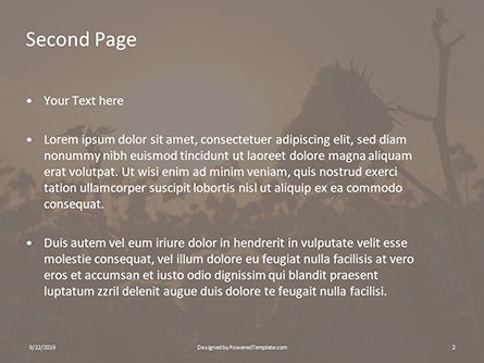 Modèle PowerPoint gratuit de lever de soleil sur un champ de coton, Diapositive 2, 16006, Nature / Environnement — PoweredTemplate.com
