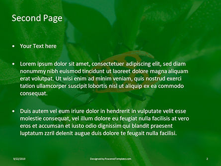在绿色树枝上的萤火虫pyrhocoris apterus免费PowerPoint模板, 幻灯片 2, 16012, 自然与环境 — PoweredTemplate.com