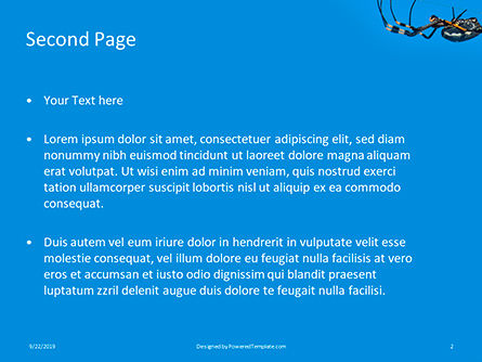 Plantilla de PowerPoint - gran araña de jardín en telaraña, Diapositiva 2, 16023, Naturaleza y medio ambiente — PoweredTemplate.com