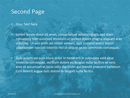 Underwater Coral Reef and Tropical Fish Presentation, Slide 2, 16033, Nature & Environment — PoweredTemplate.com
