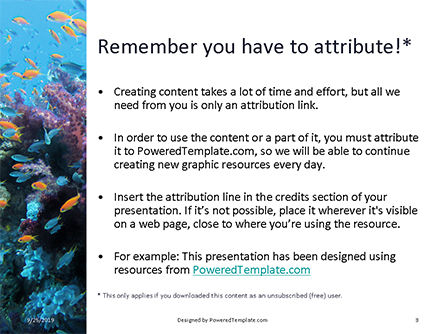 Underwater Coral Reef and Tropical Fish Presentation, Slide 3, 16033, Nature & Environment — PoweredTemplate.com