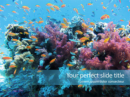 Underwater Coral Reef and Tropical Fish Presentation, 16033, Nature & Environment — PoweredTemplate.com