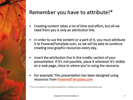 Modello PowerPoint Gratis - Foglia d'acero in autunno, Slide 3, 16064, Natura & Ambiente — PoweredTemplate.com