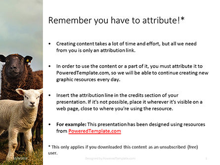 Modèle PowerPoint de mouton femelle avec agneau, Diapositive 3, 16096, Agriculture — PoweredTemplate.com