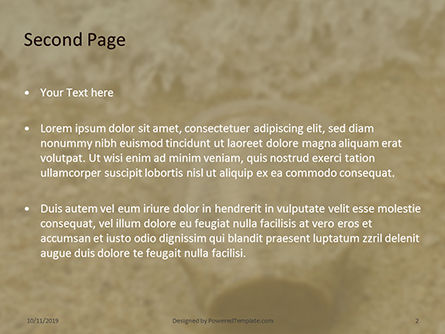 Benutzter plastikbecher auf sand Kostenlose PowerPoint Vorlage, Folie 2, 16098, Natur & Umwelt — PoweredTemplate.com