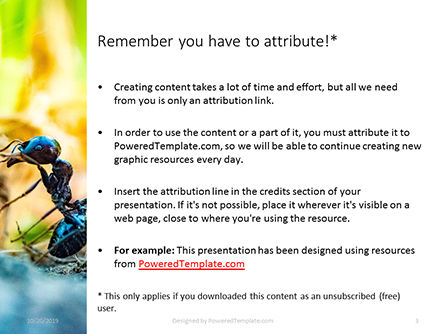 A Busy Small Ant Presentation, Slide 3, 16103, Nature & Environment — PoweredTemplate.com