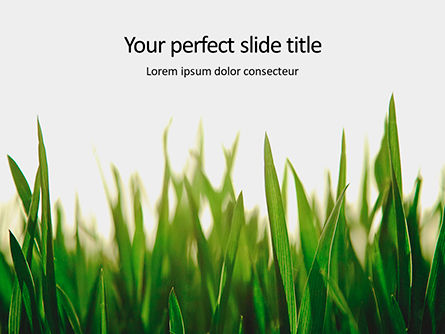 Modèle PowerPoint de gros plan d'herbe épaisse fraîche, 16119, Nature / Environnement — PoweredTemplate.com