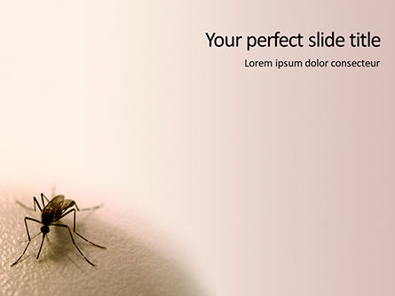 Mosquito on the Skin Presentation, Free PowerPoint Template, 16124, Medical — PoweredTemplate.com