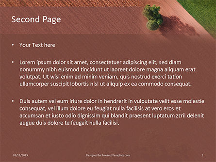 Modello PowerPoint Gratis - Aerial view of field and shade tree, Slide 2, 16143, Natura & Ambiente — PoweredTemplate.com