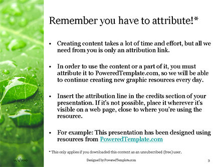 Green Leaf With Drops Of Water PowerPoint Template, Dia 3, 16145, Natuur & Milieu — PoweredTemplate.com